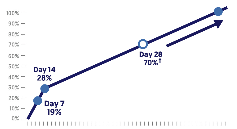 Flexdermal Topical Joint Relief Cream FlexdermalStore